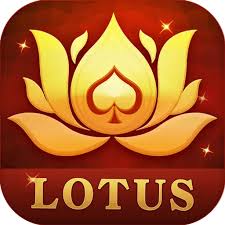 vrl rummy app download